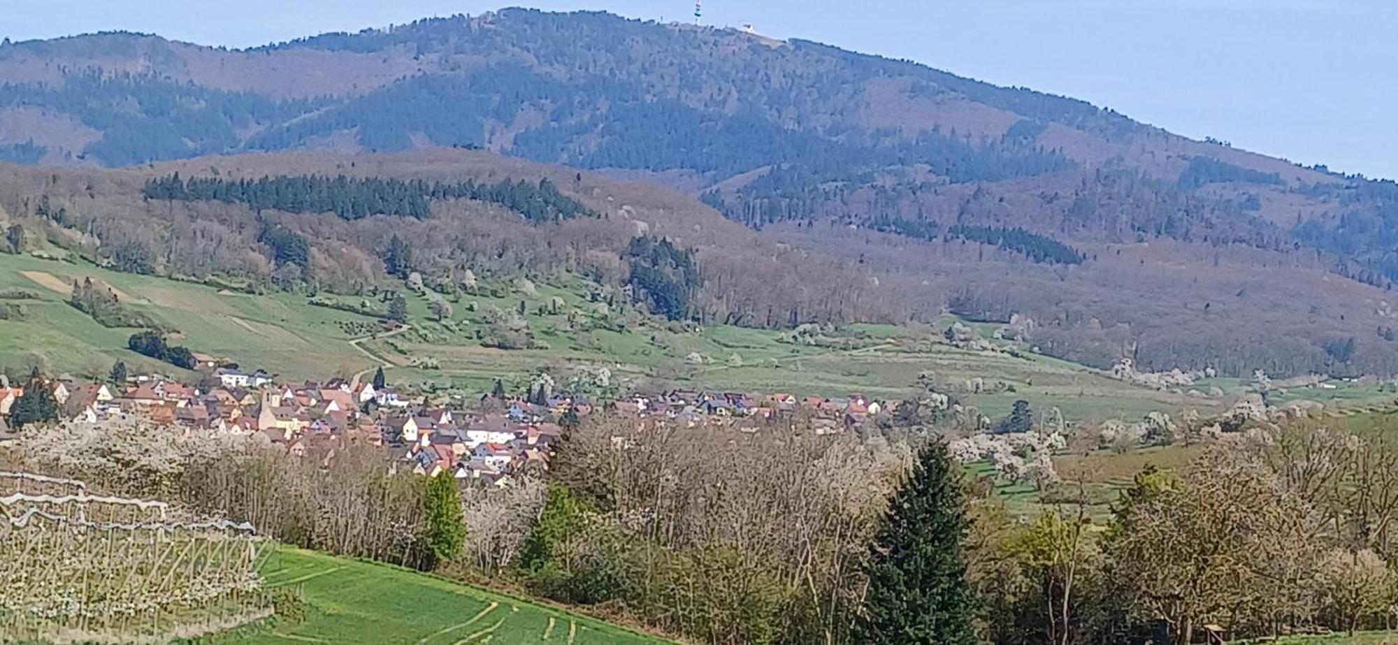 Ferienwohnung Am Blumengaessle Mullheim  Esterno foto