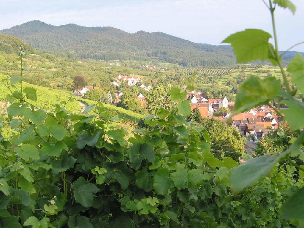 Ferienwohnung Am Blumengaessle Mullheim  Esterno foto
