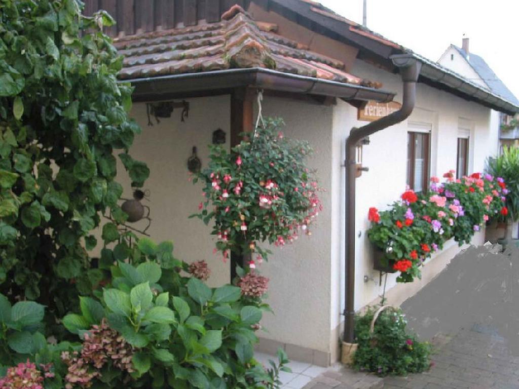 Ferienwohnung Am Blumengaessle Mullheim  Esterno foto